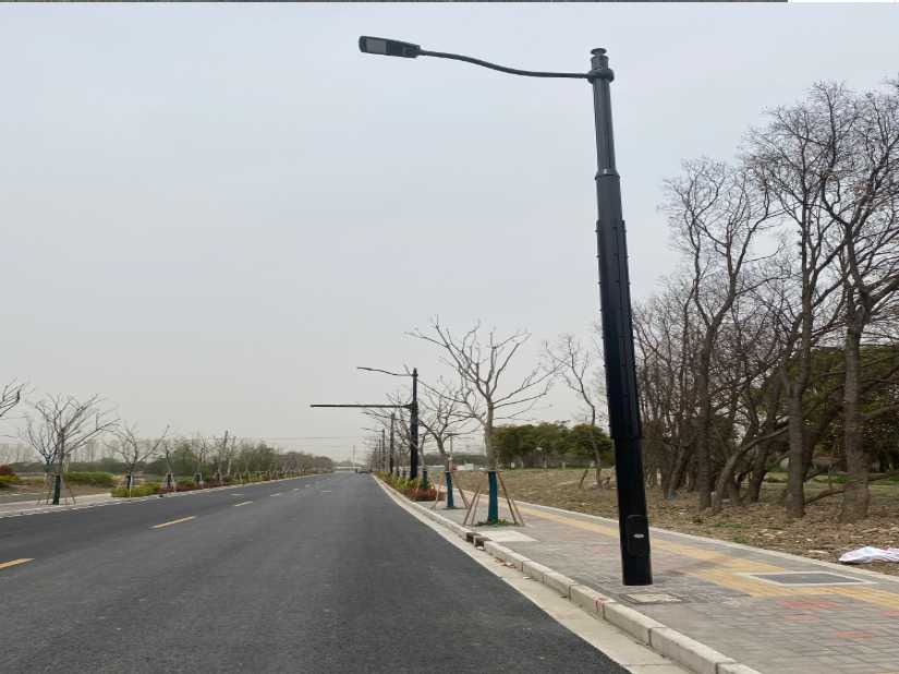 德保县上海综合杆 太阳能路灯工程